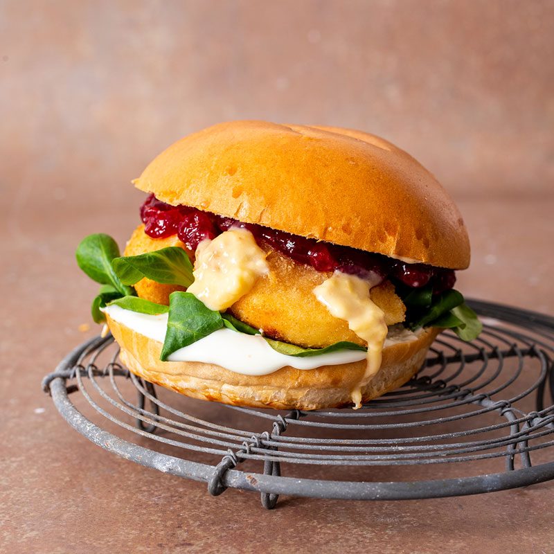 Veganer Come on Bert Burger